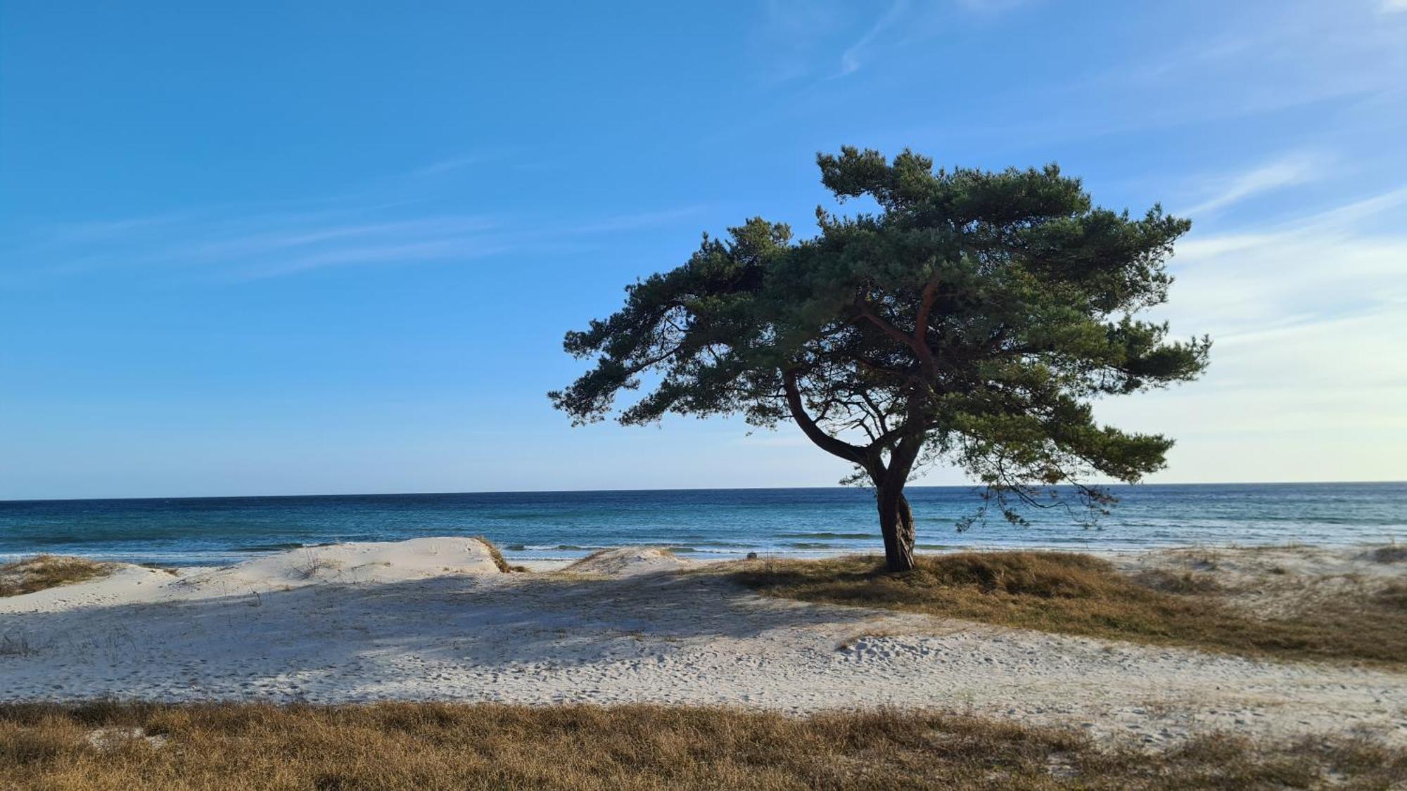 Kvarnviks Gard Close To Sea & Charming Country